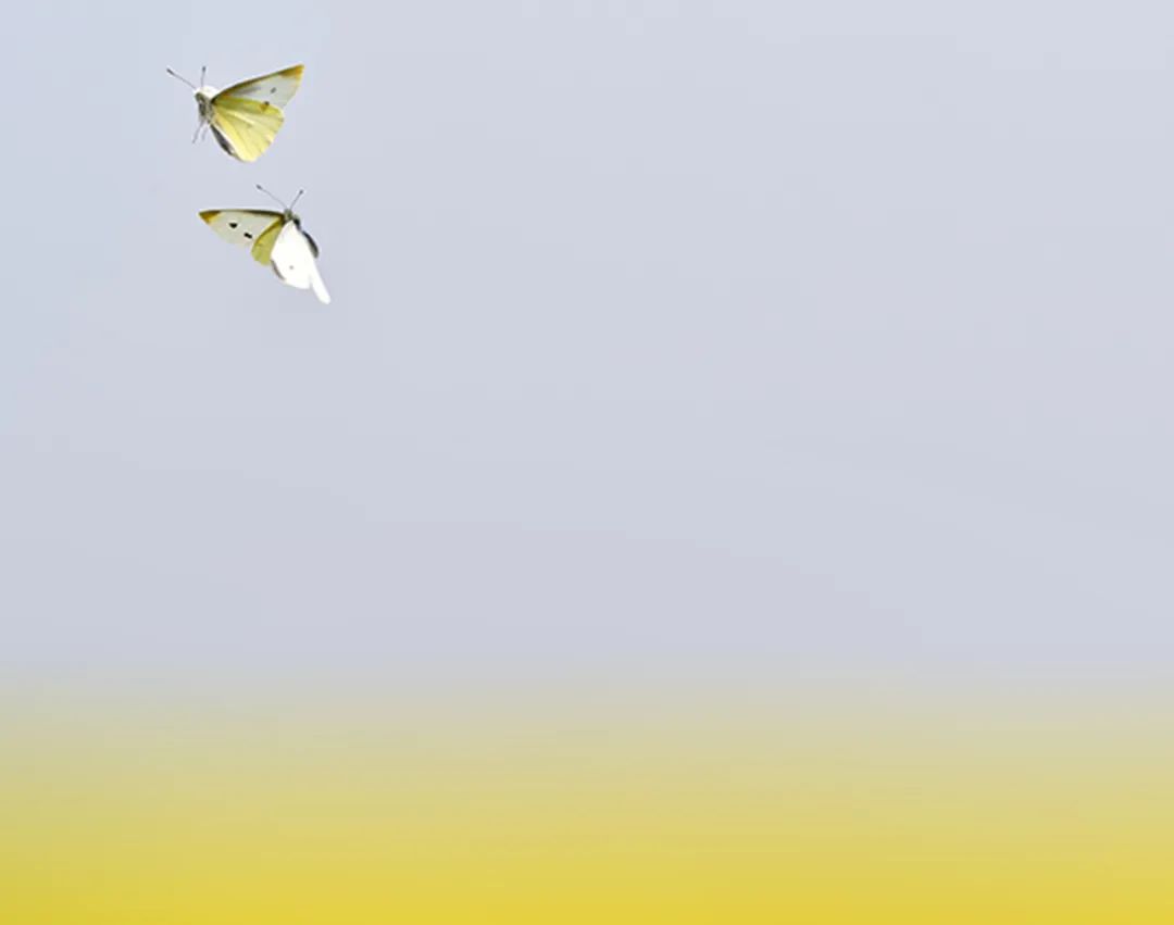 香港第14届全国摄影艺术展,第29届全国摄影艺术展览获奖名单