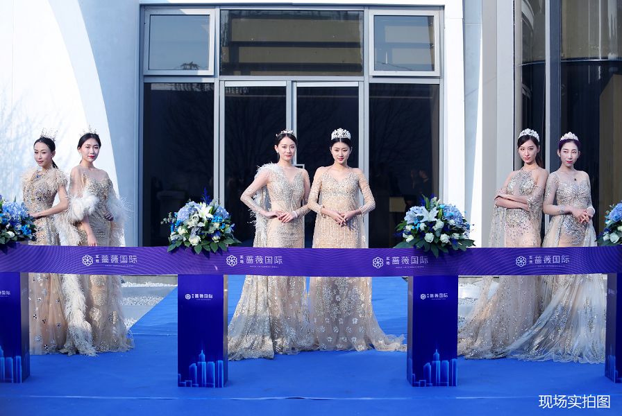 东丽区军粮城蔷薇国际户型,天津军粮城蔷薇国际楼盘怎么样