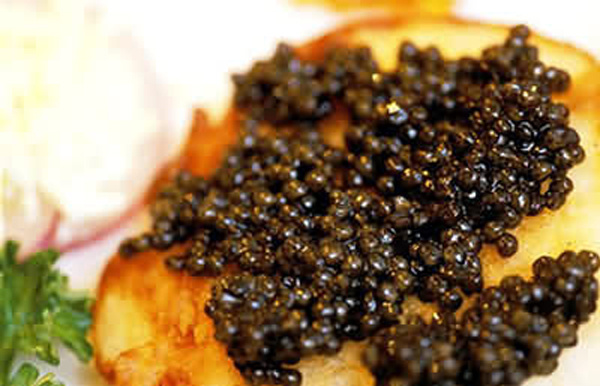 春日有鱼——“国风”鱼子酱开启新篇章