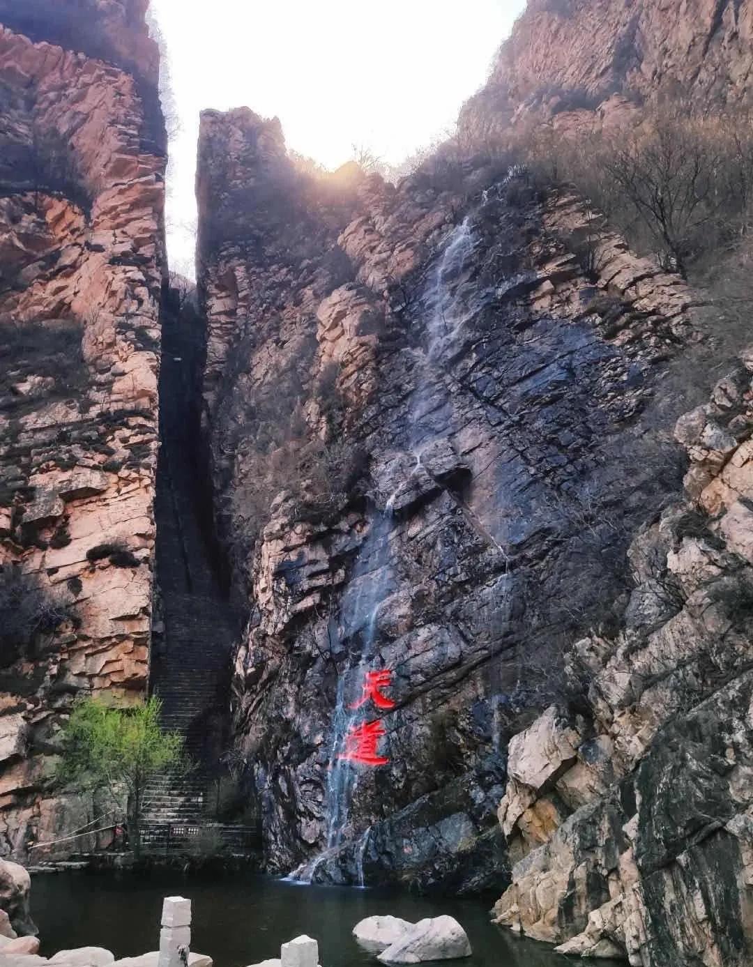 一个不出郑州的踏青好去处,天津春游公园推荐