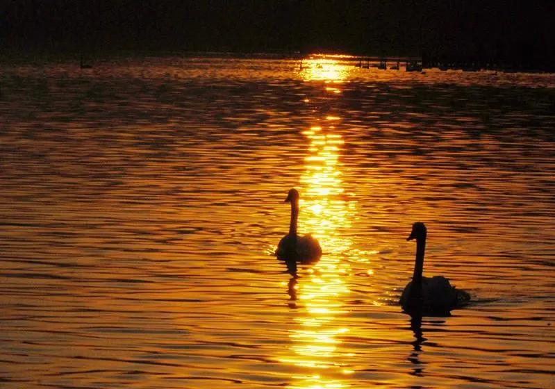 楚楚普法最新进展,楚楚的妈妈被关进监狱了