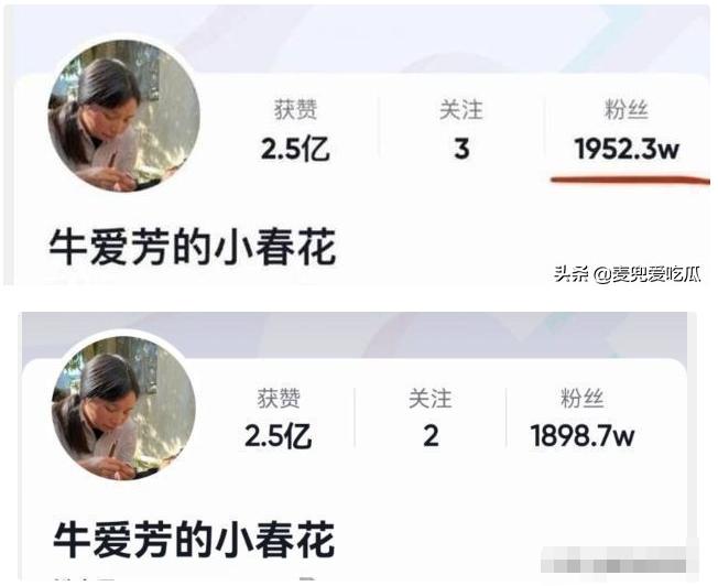 比起牛爱芳春花的人设崩塌,蜀中桃子姐的清醒与真实,真叫人佩服