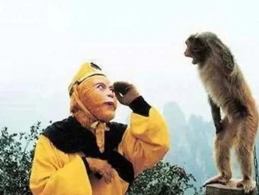 98版水浒传武松精彩瞬间,98版水浒传中武松打虎的视频