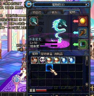 DNF韩服史诗级宠物,dnf宠物幻化拍卖行哪个宠物最好看