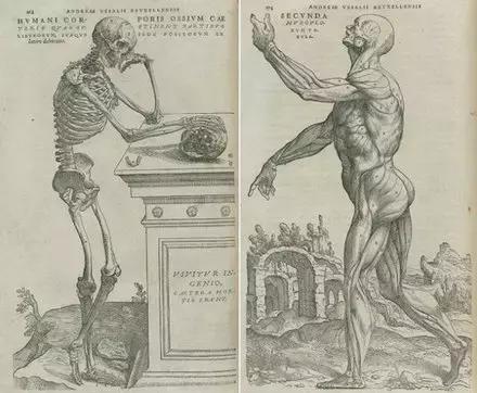 中西医之争的本质是什么,中西医之争是100年的话题