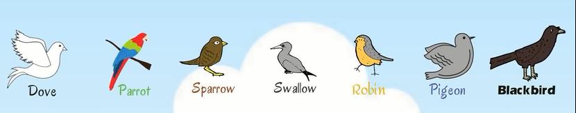 关于动物的英语短单词,初中英文的动物词汇