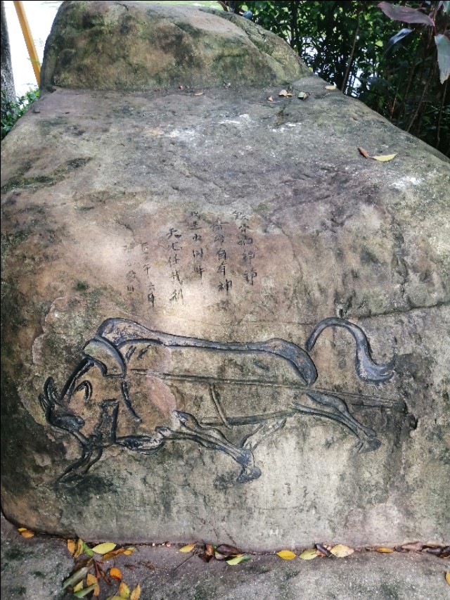 东莞旗峰公园掠影,东莞旗峰公园大体俯视图片