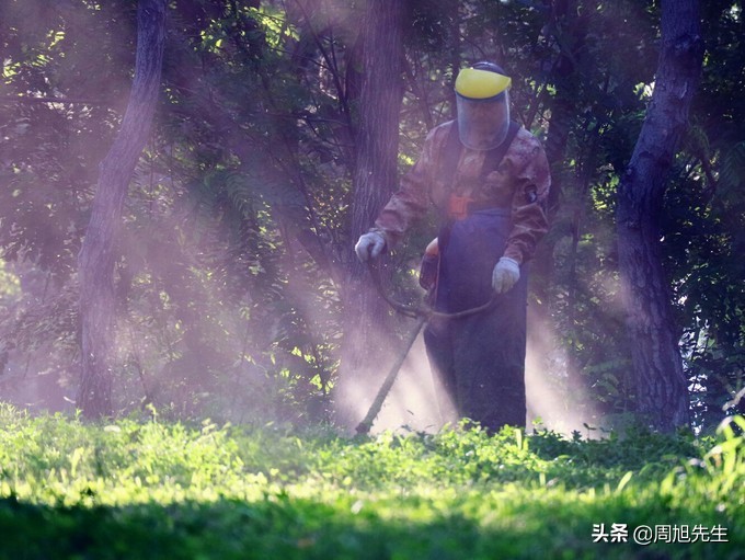 盛京3天深度自驾游好去处推荐,盛京游记