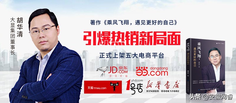 大显集团创始人胡华清,大显集团胡华清