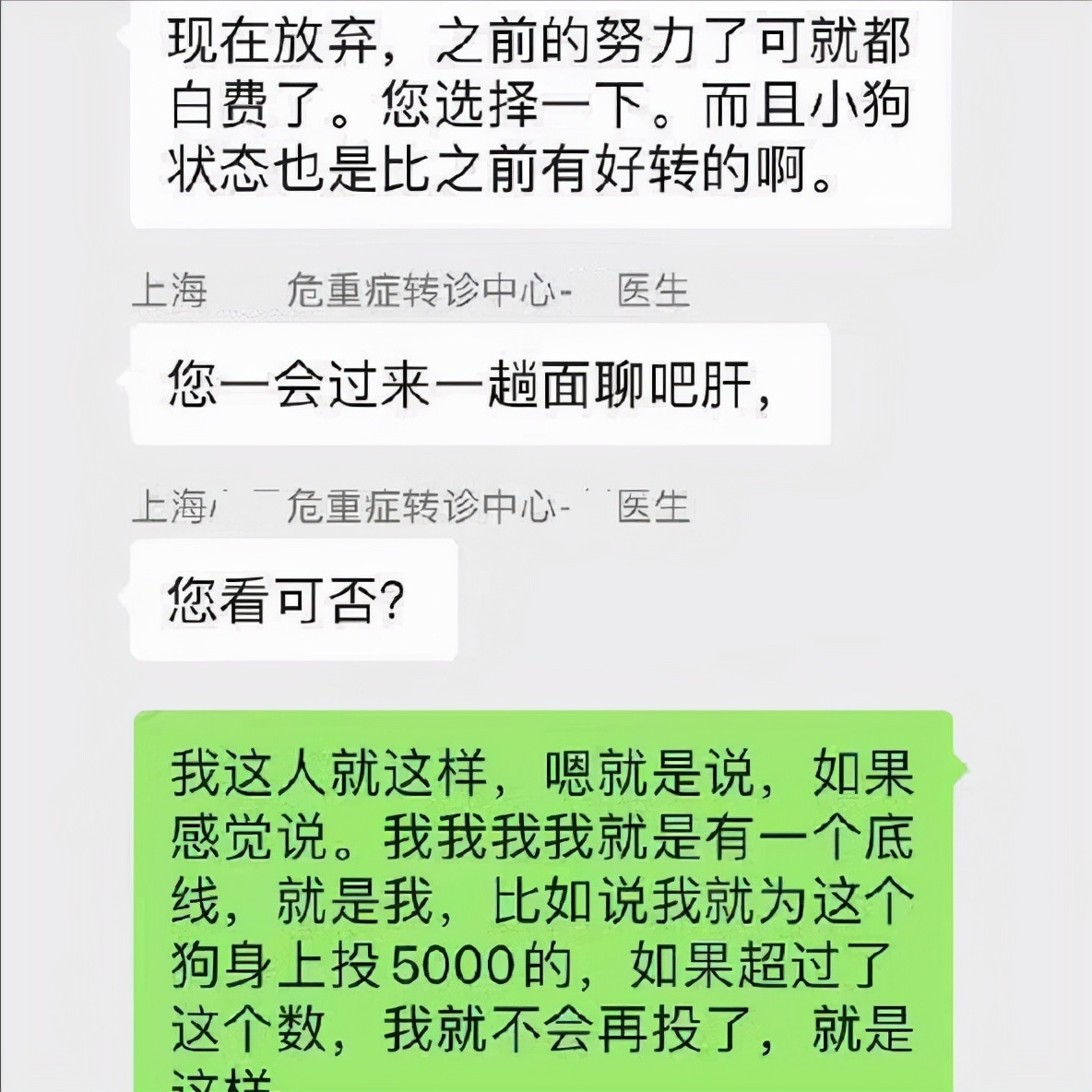 给宠物狗开眼角,宠物狗感染细小死亡