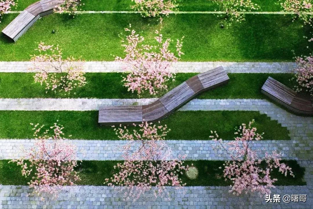 世界上的路本来很平凡，自从遇上设计师，此路非彼路