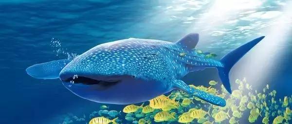 珠海长隆海洋王国暑假游,十一带孩子打卡珠海长隆海洋王国