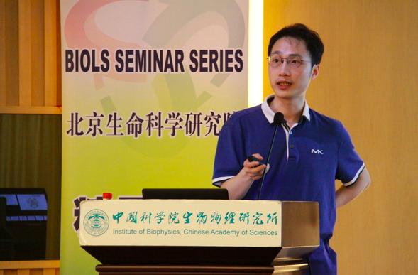 中科院杨辉学术抄袭,杨辉学术造假事件