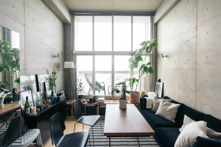 朝北的房子一定没有阳光吗,朝北房间就没有阳光吗