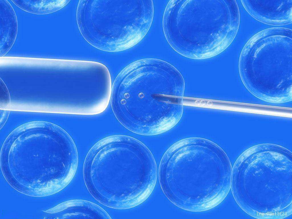 2022干细胞治疗脊髓损伤招募患者,干细胞最新利好