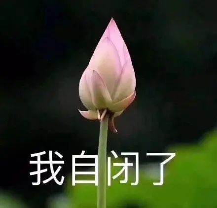 许家印120亿打造莲花形足球场,许家印恒大足球专业足球场