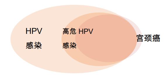 hpv阳性可以怀孕生小孩吗,hpv16阳性怀孕了怎么办