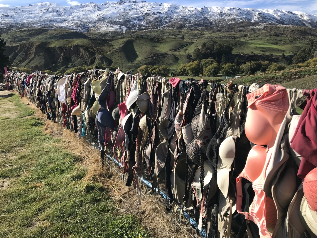 新西兰旅游必备大牌礼物,新西兰旅行攻略完整详细版