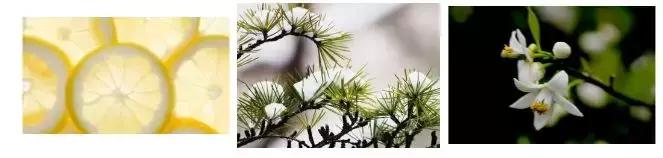 用了身体乳皮肤变好,用了身体乳皮肤特别嫩