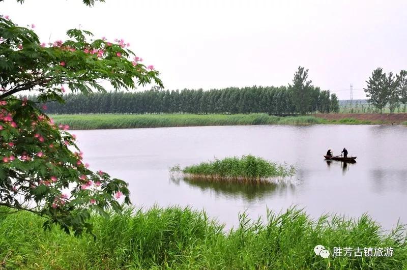 胜芳古镇有什么特色吗,胜芳古镇杨家大院
