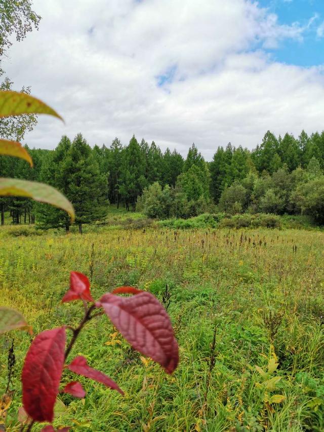 福建广电网络双节送福利，线上线下齐过节，活动丰富、优惠更多