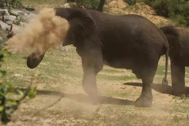 夏日防蚊试试四招,防蚊驱蚊止痒