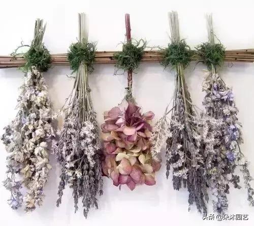 干花如何定格在墙上,干花制作5朵花教程