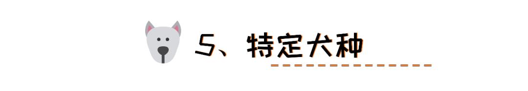 狗狗泪痕怎么处理最有效,狗狗眼睛周围有泪痕怎么去除