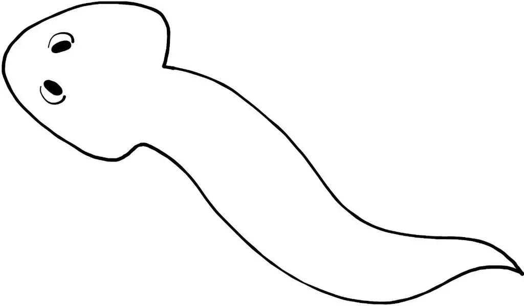 马斯克谈超级智能,马斯克公司公布猴子用意念玩游戏