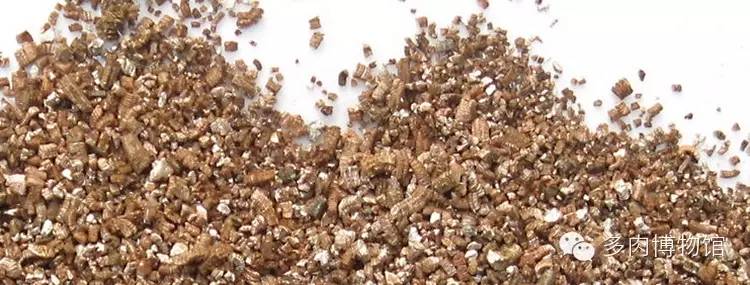 多肉用什么土长得快怎么配土,新手养多肉怎么配土最好