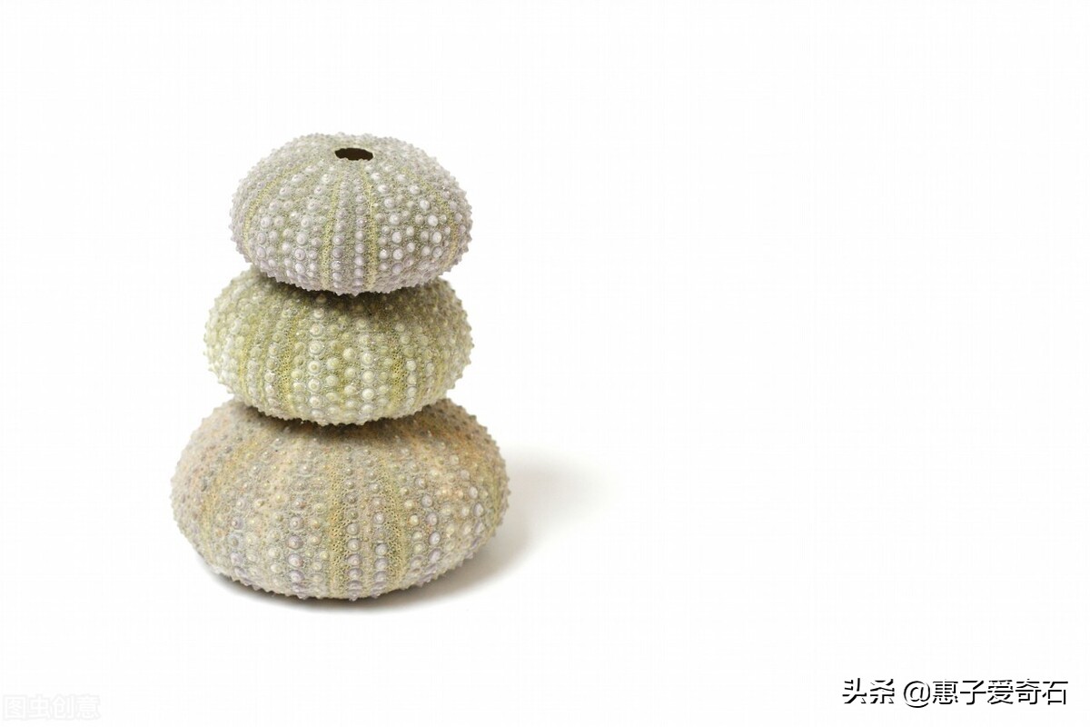 台湾顶级珍稀奇石,顶级玉石奇石