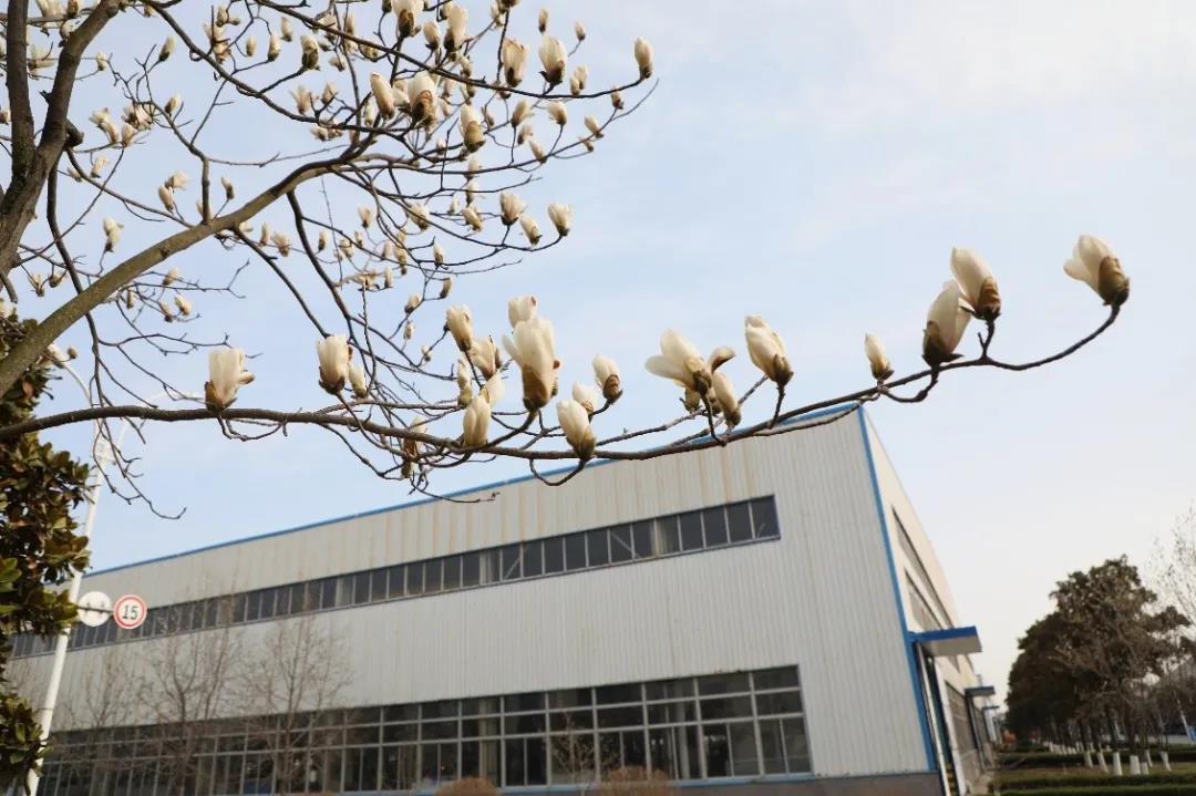 山东临工恒力液压,山东临工2020年在行业排行