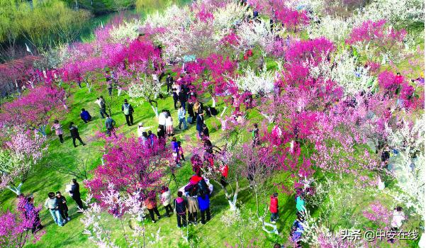 不负好春光踏青,不负春光正是踏青好时节