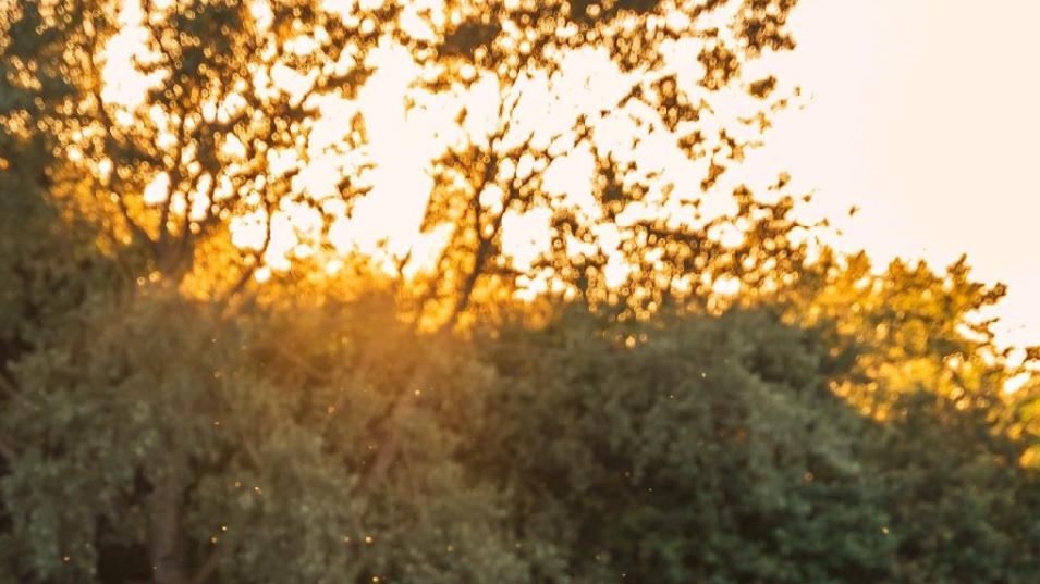 有你真好关于友情的诗句,有一种友情叫有你真好情感语录