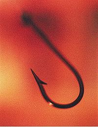 钓钩钩型选择原则有哪些,如何选择钓钩的深度
