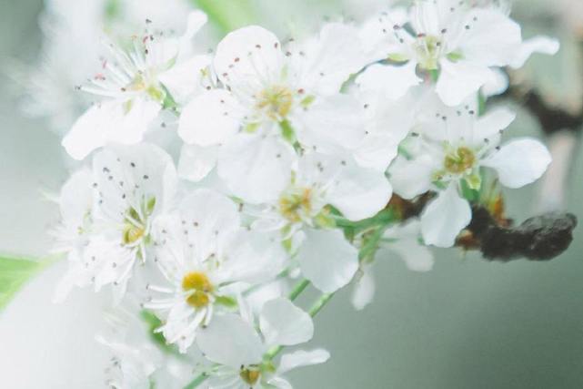 套路最多最难被人算计的三大星座,最狡猾城府深不可测的三大星座