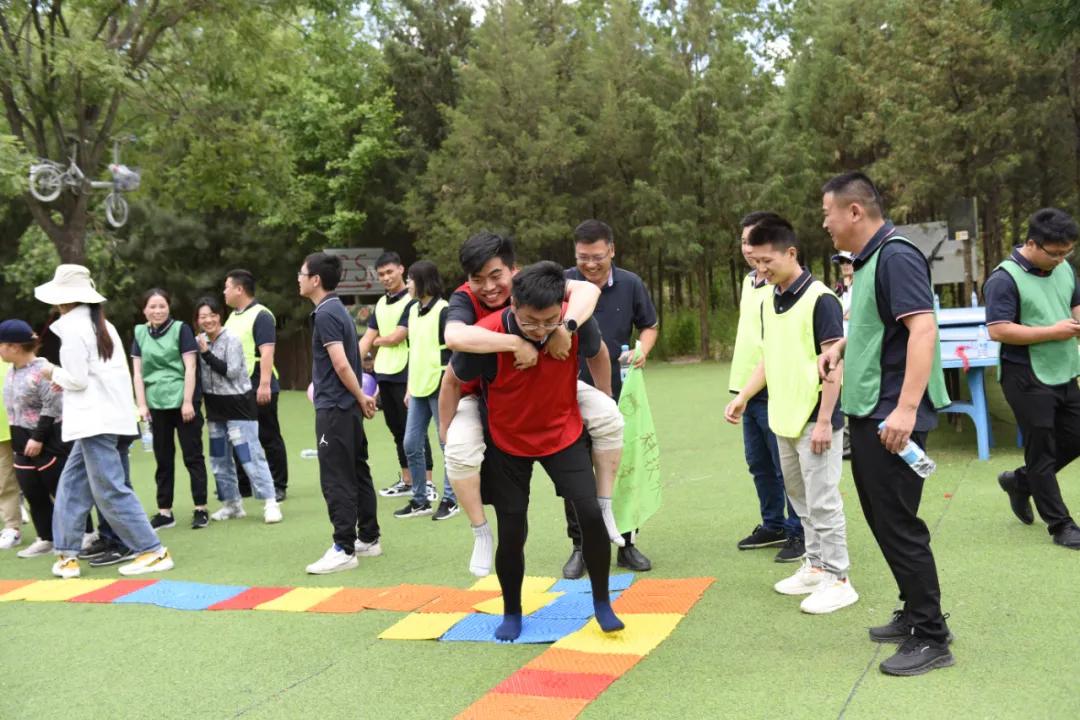 凌阳科技有限公司,凌阳科技单片机