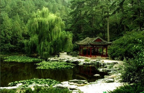 美得让人窒息的诗词,美得让人窒息的唐诗宋词