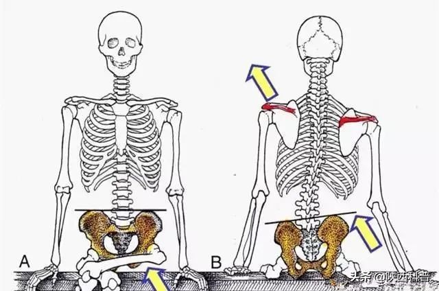 天天科普|跷二郎腿会影响“生育力”？快把腿放下来！