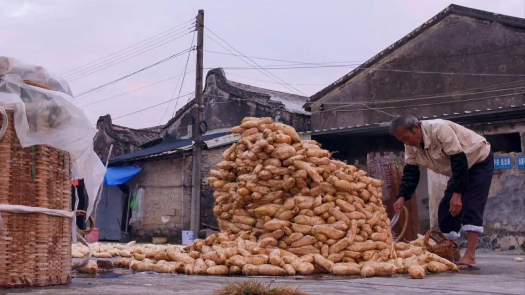 冬萝卜的10种做法,冬季萝卜最好吃的十道做法