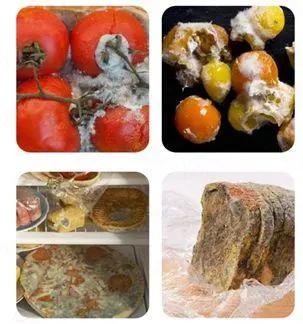 杀菌除味保鲜棒,德国冰箱保鲜除味棒