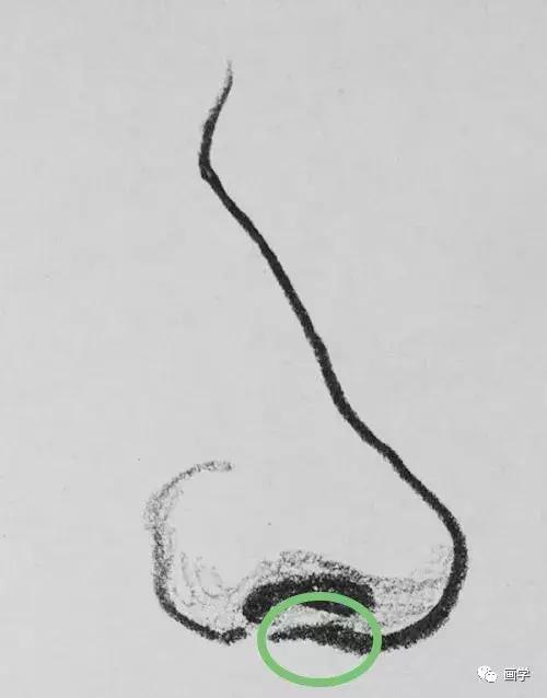 怎样画出一个逼真又立体的鼻子,新手画出高挺的鼻子