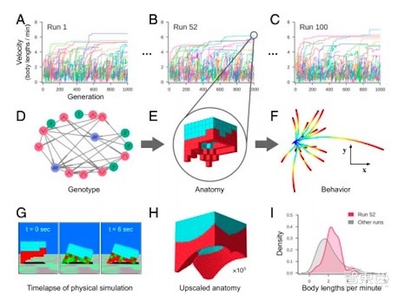 全球首个活体机器人拥有自愈能力,全球首个可繁殖活体机器人问世