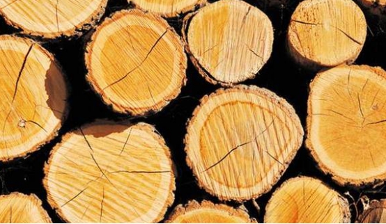 木材干燥处理新方法有哪些,木材的干燥和切割加工