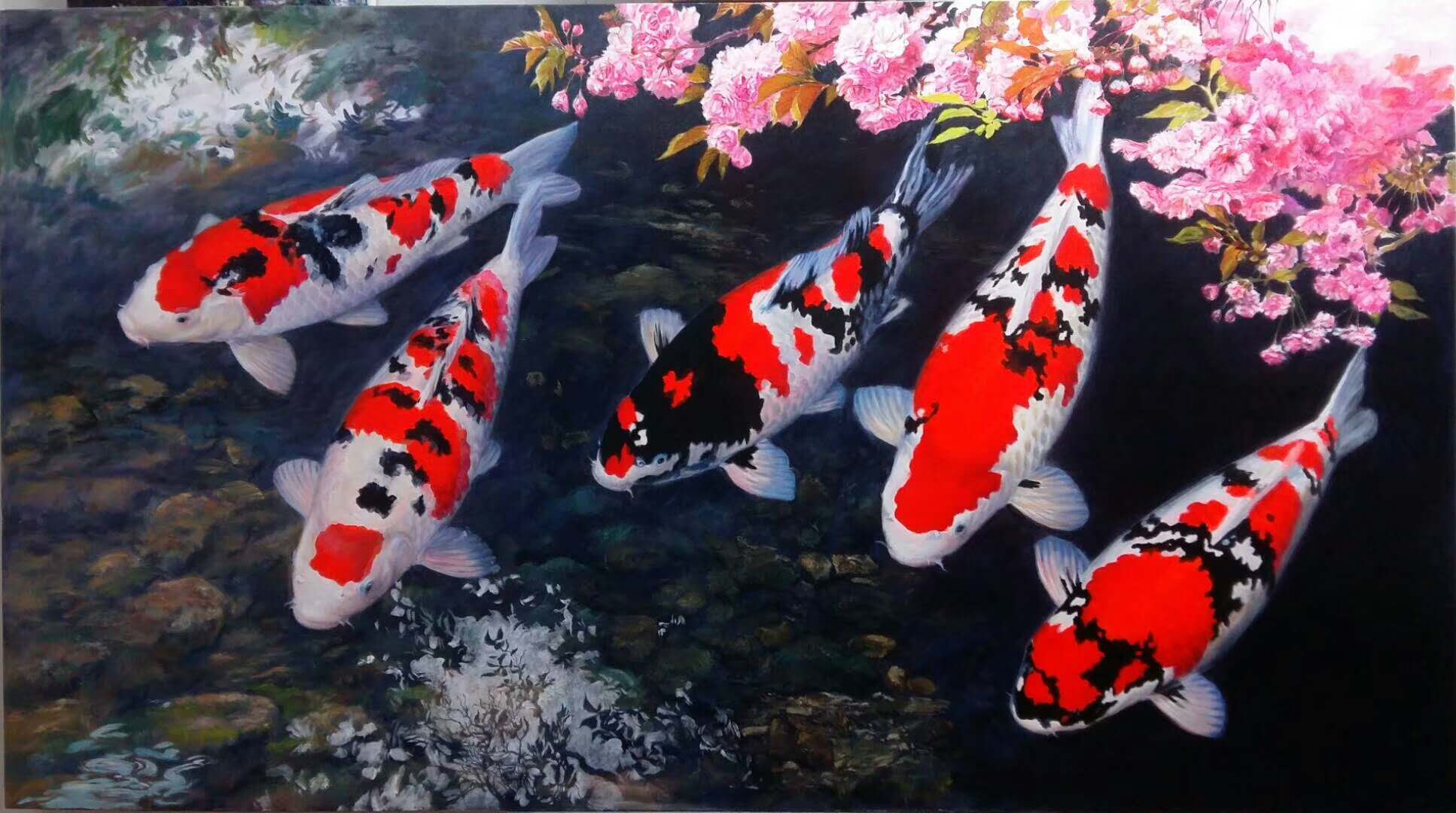 养鱼张哥最新视频,鱼缸怎么养锦鲤鱼最好