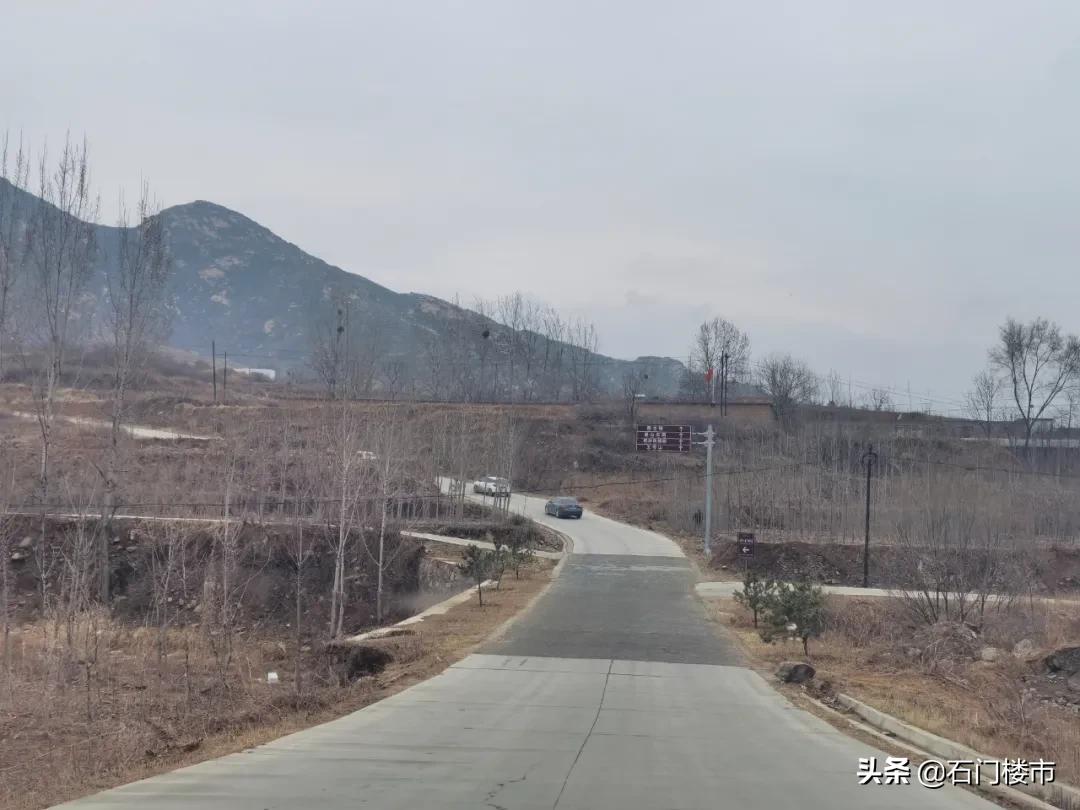 实探现场,实探日本果园