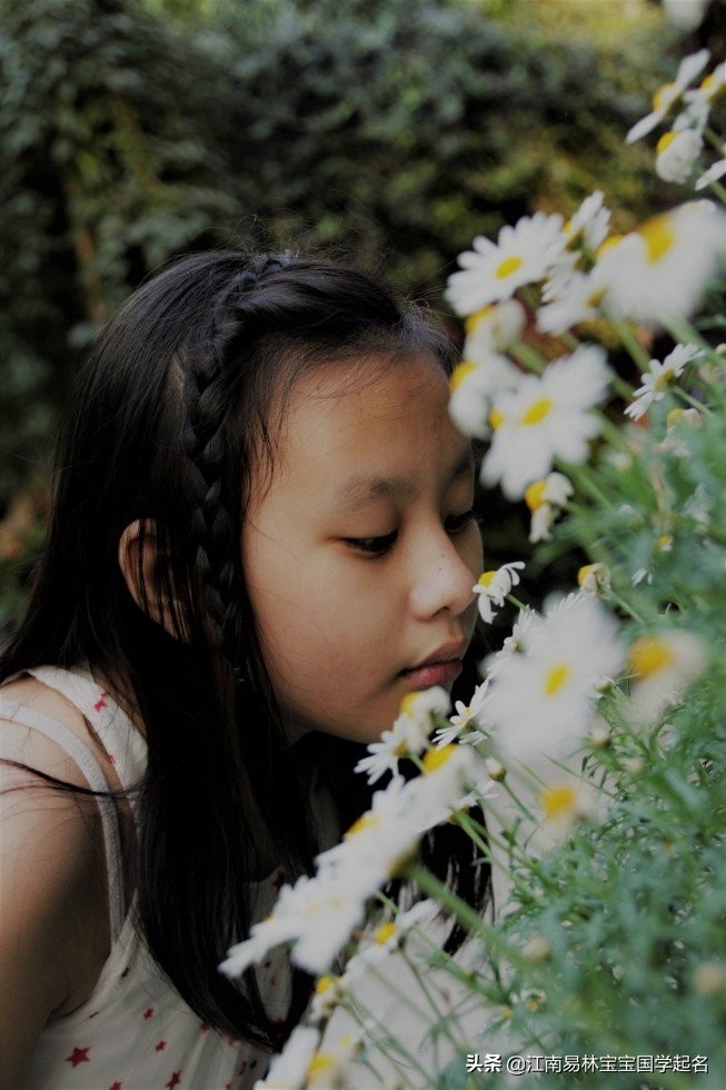 诗词取名女孩名字大全,唯美诗词取名推荐女生名字