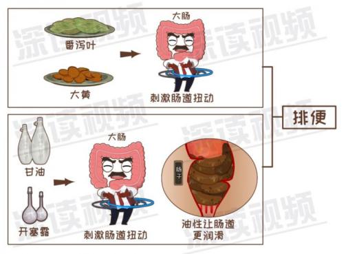 减肥运动期间为啥总是便秘,减肥期间便秘了怎么办