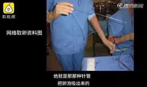 “25万出租子宫”短片被围观5.5亿次：你赚钱的样子，真丑！