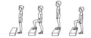 郑东新区体育训练营,郑东新区暑假训练营